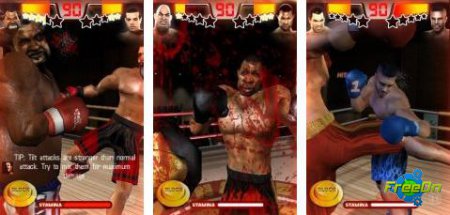 Iron Fist Boxing v3.54 3D -  apk   Android 2.2