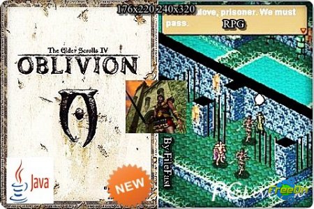 The Elder Scrolls IV: Oblivion /  - RPG   