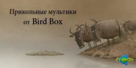     Bird Box (2012)